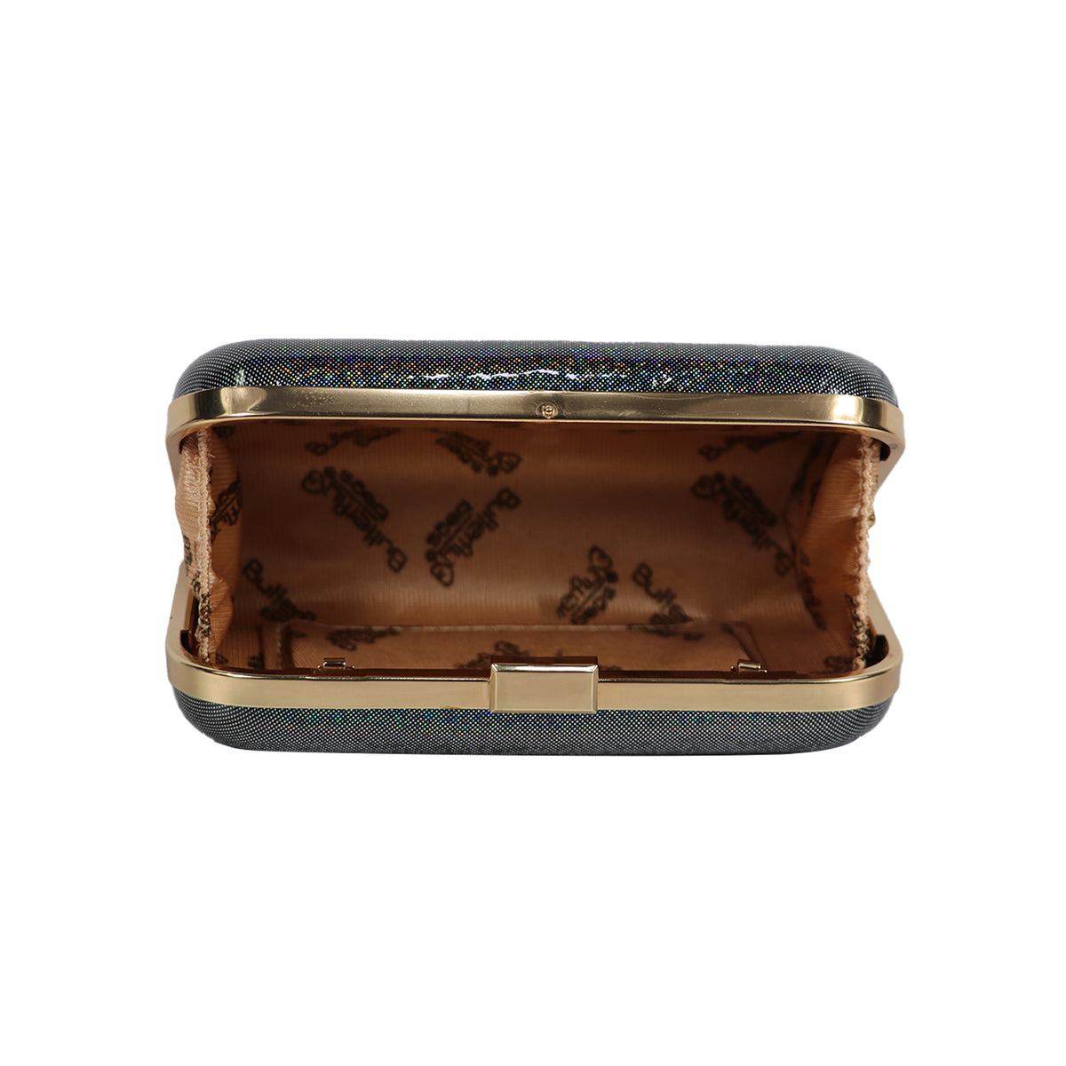 Women’s Rainbow Metallic Box Clutch with Gold Frame